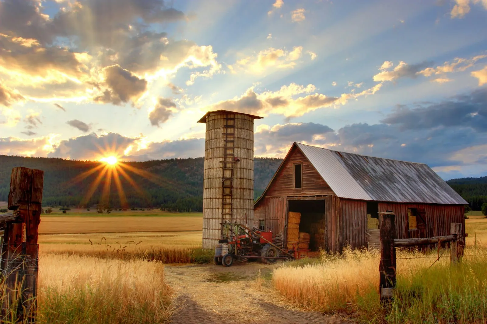 Why we slow down in deep summer